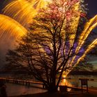 Baum in Flammen