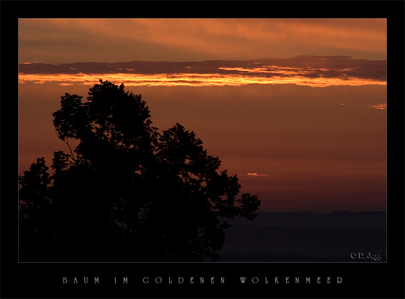 Baum in goldenem Wolkenmeer