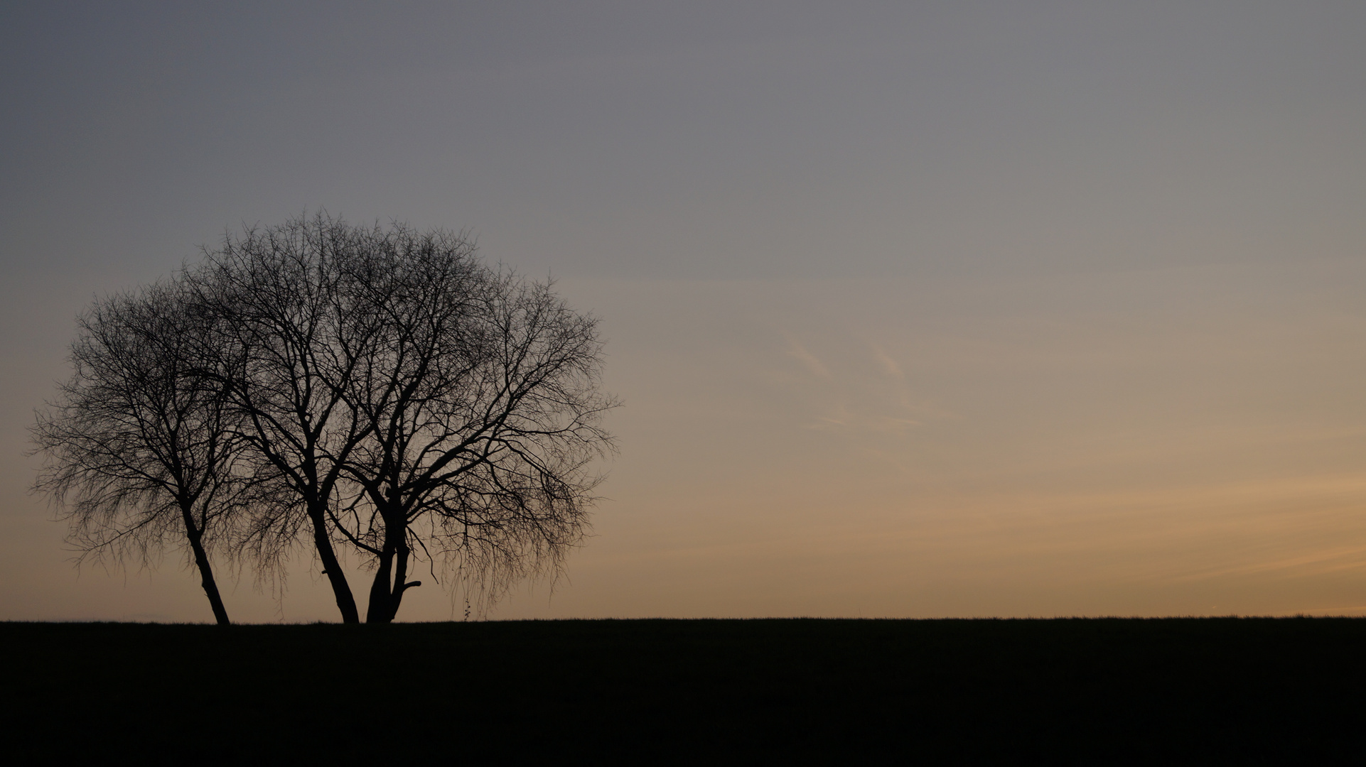 Baum in herbstlicher Abenddämmerung