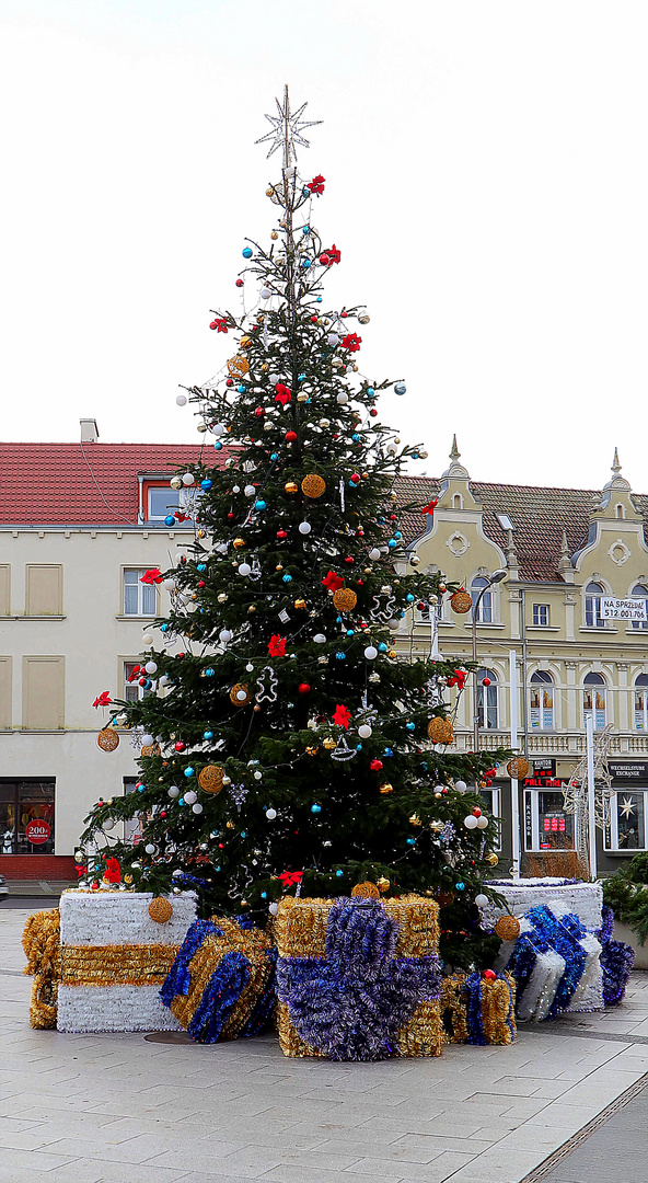 Baum in Swinemünde