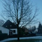 Baum in Winter Unbearbeitet!!!!!!!!!!!!!!