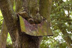 Baum isst Schild