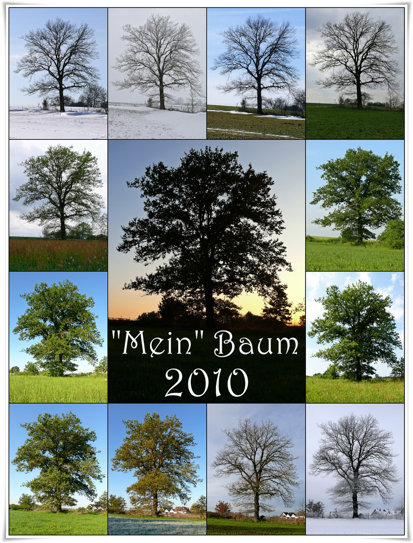 Baum-Jahr 2010