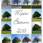 Baum-Jahr 2011