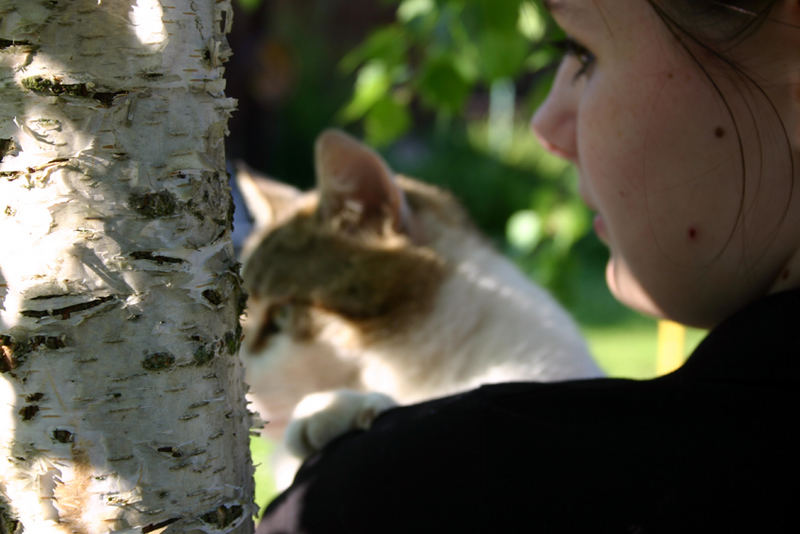 Baum Katze Mensch