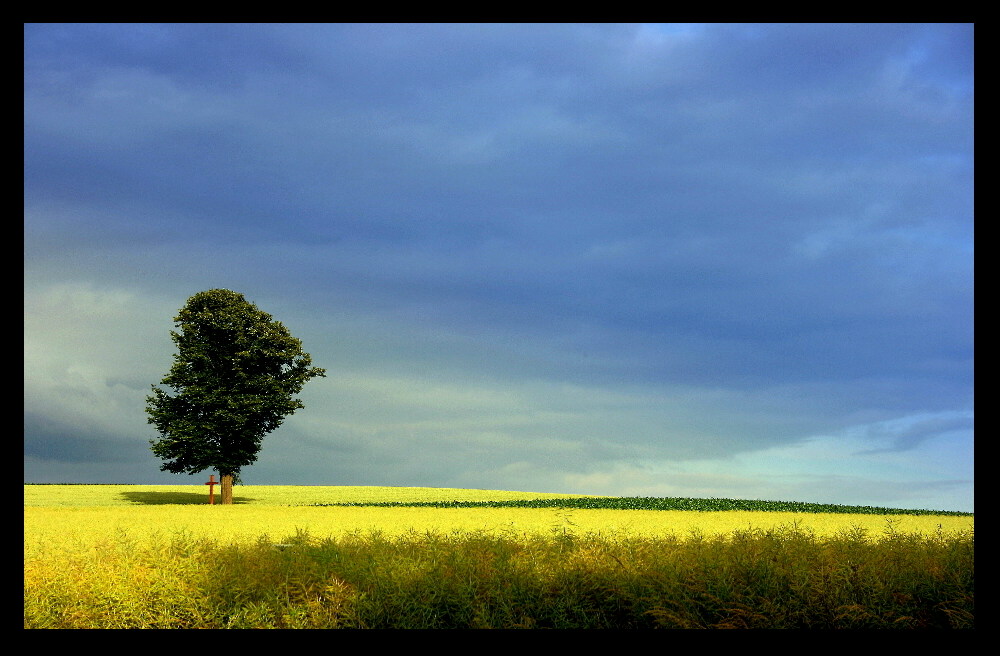 Baum & Kreuz