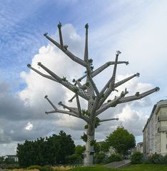 Baum-Kunst