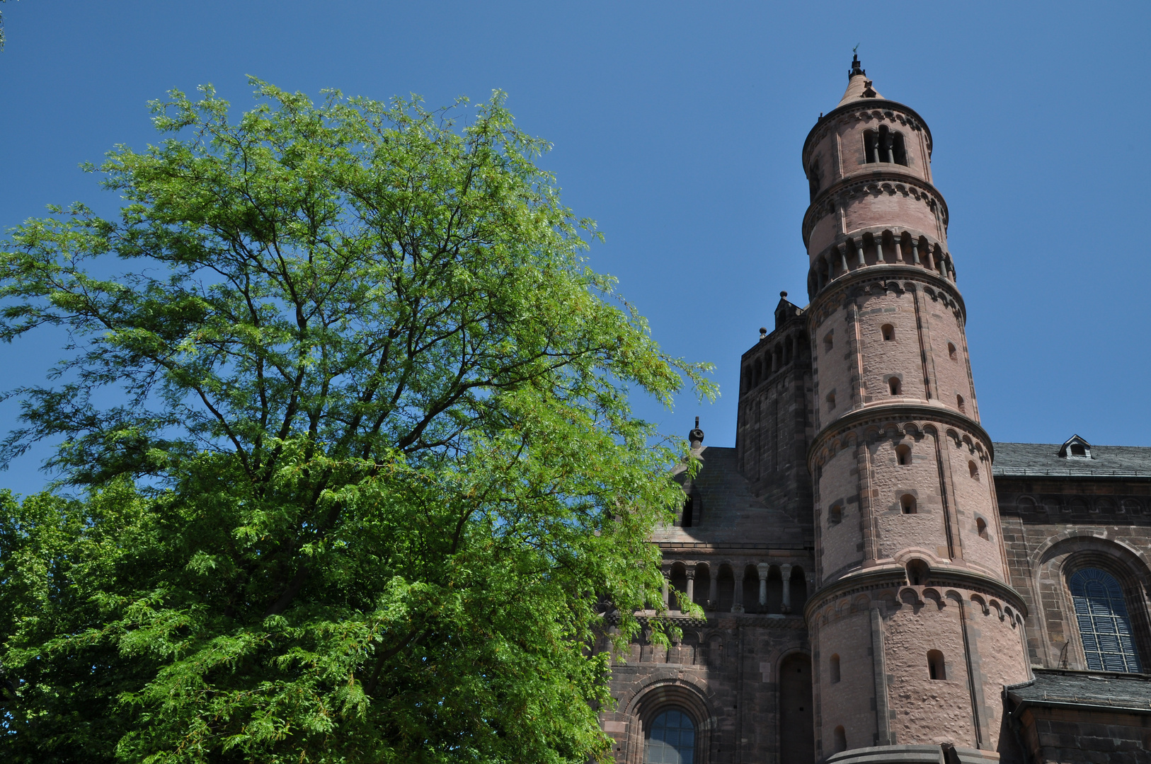 Baum (Linde ?) und Kaiserdom St. Peter in Worms