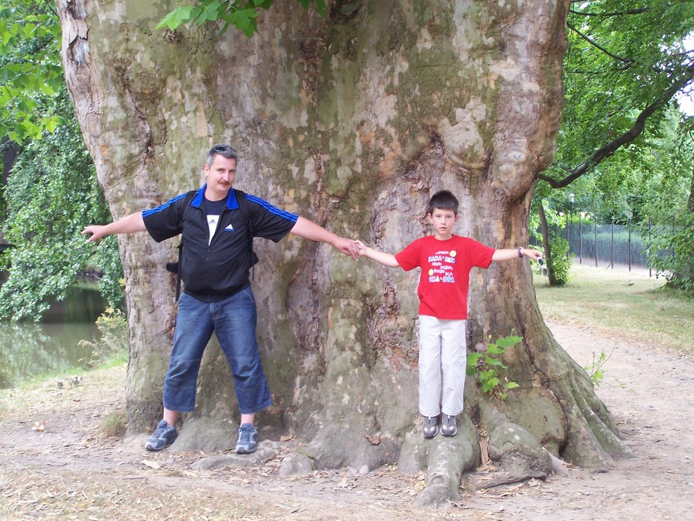 Baum, Mann und ein Halber...