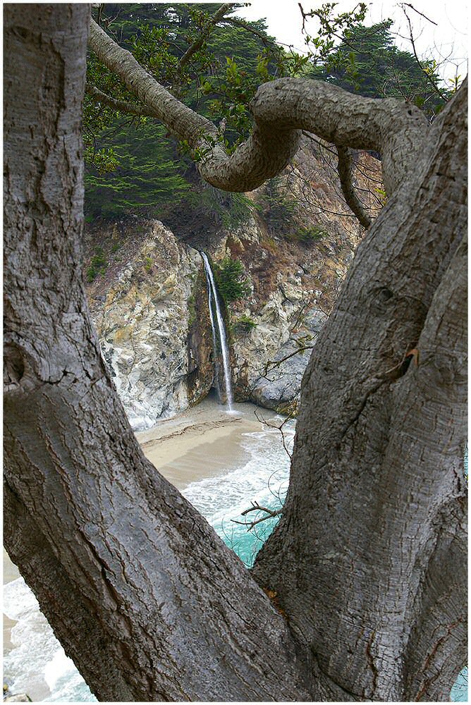 Baum mit Aussicht