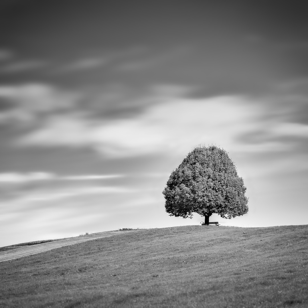 Baum Mit Bank Foto Bild Fotokunst Monochrome Fine Art Monochrom Bilder Auf Fotocommunity