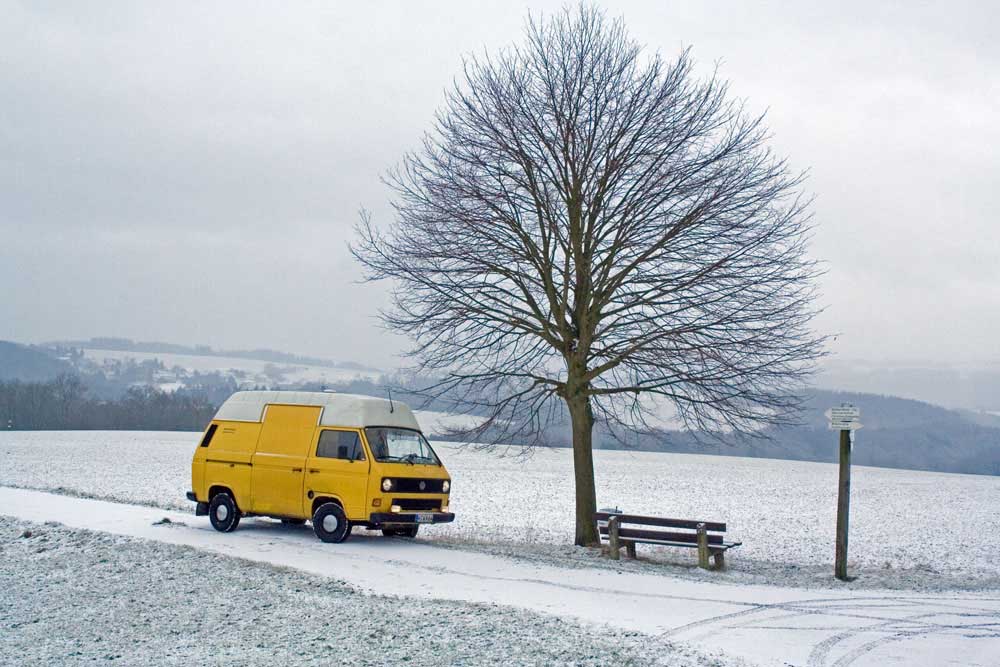 Baum mit Bus