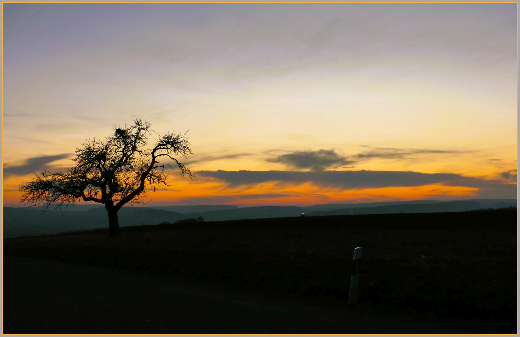 Baum mit Durchblick auf den Abendhimmel