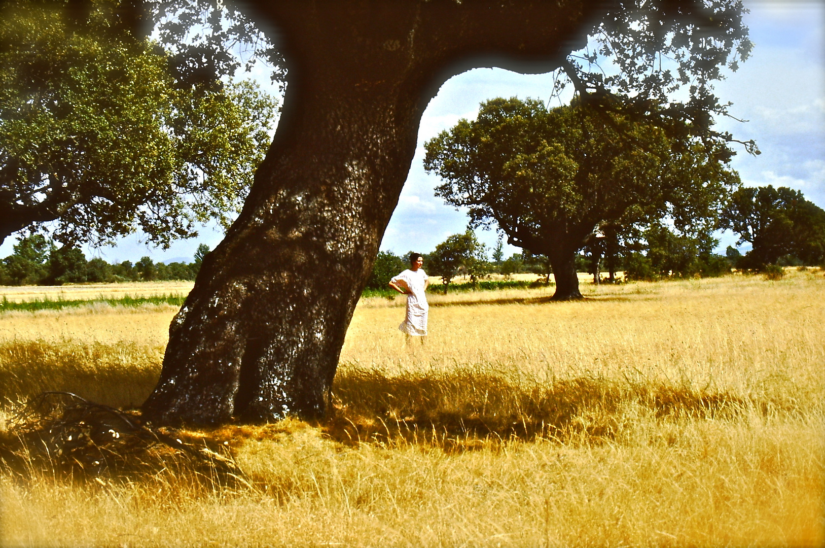 Baum mit Frau