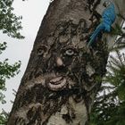 Baum mit Gesicht 