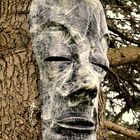 Baum mit Gesicht / Skulpturenfestival im Botanischen Garten Kiel