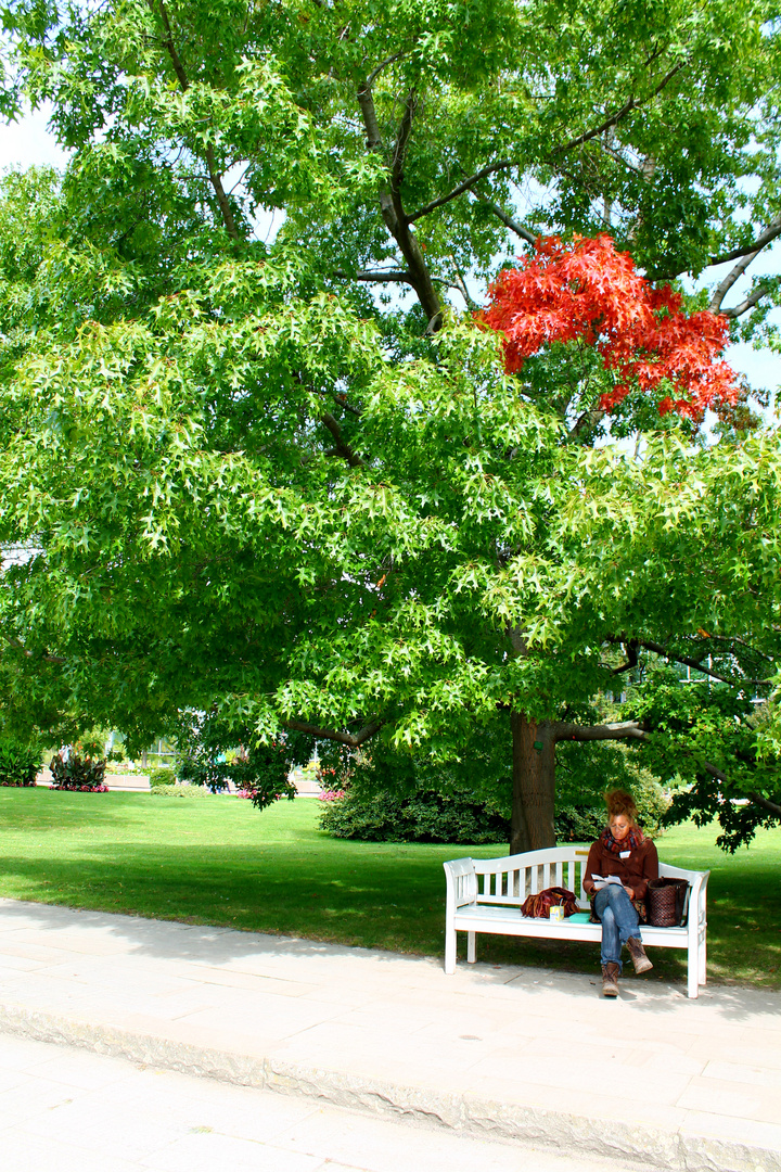 Baum mit Herz