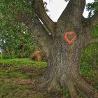 Baum mit Herz