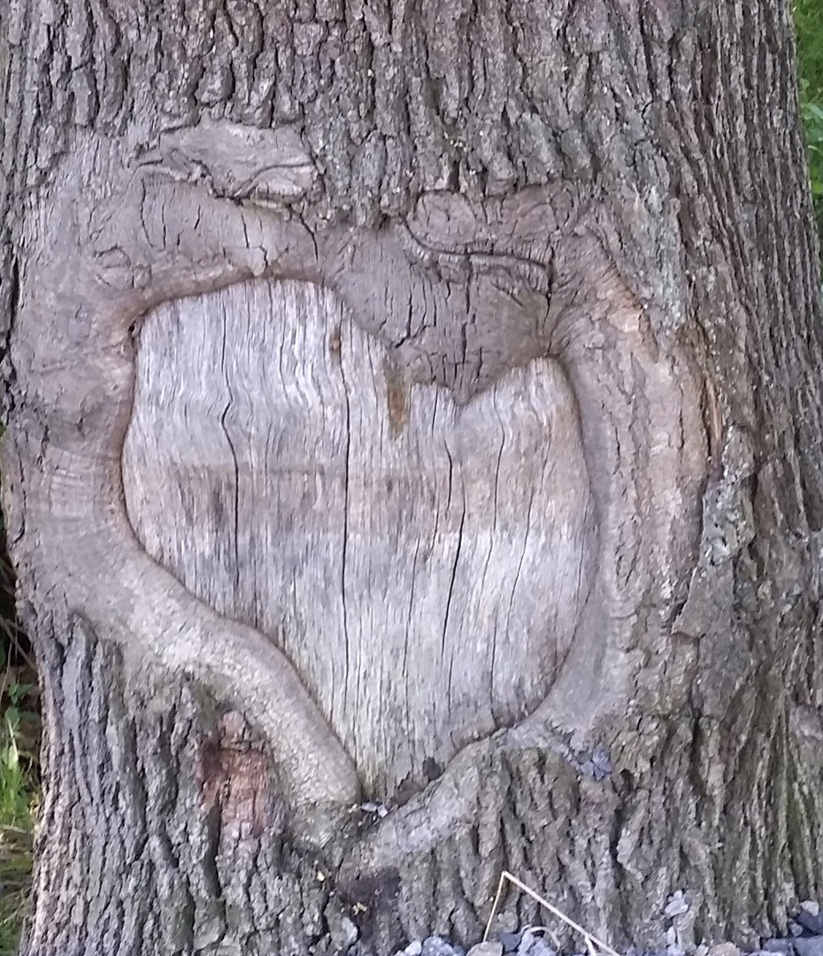 Baum mit Herz