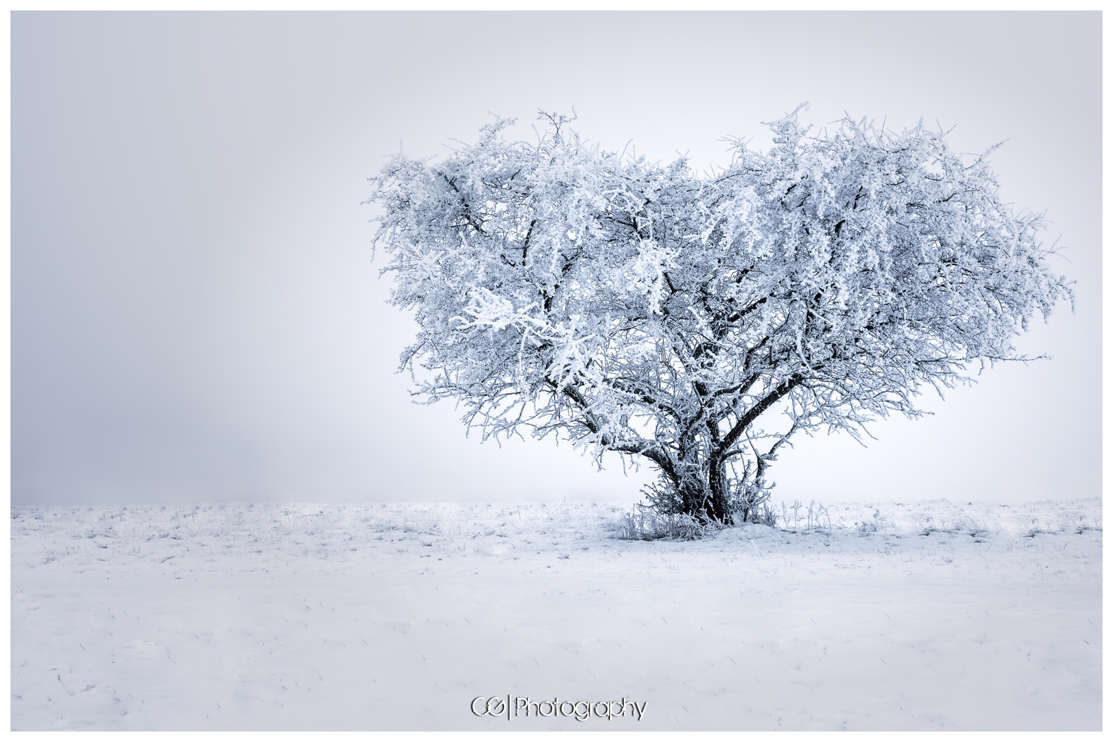 Baum mit Herz