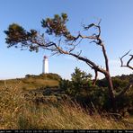 Baum mit Leuchtturm