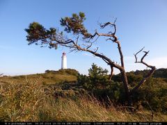 Baum mit Leuchtturm