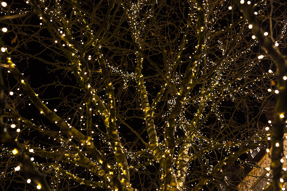 Baum mit Lichterkette