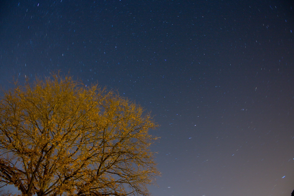 Baum mit Nordstern