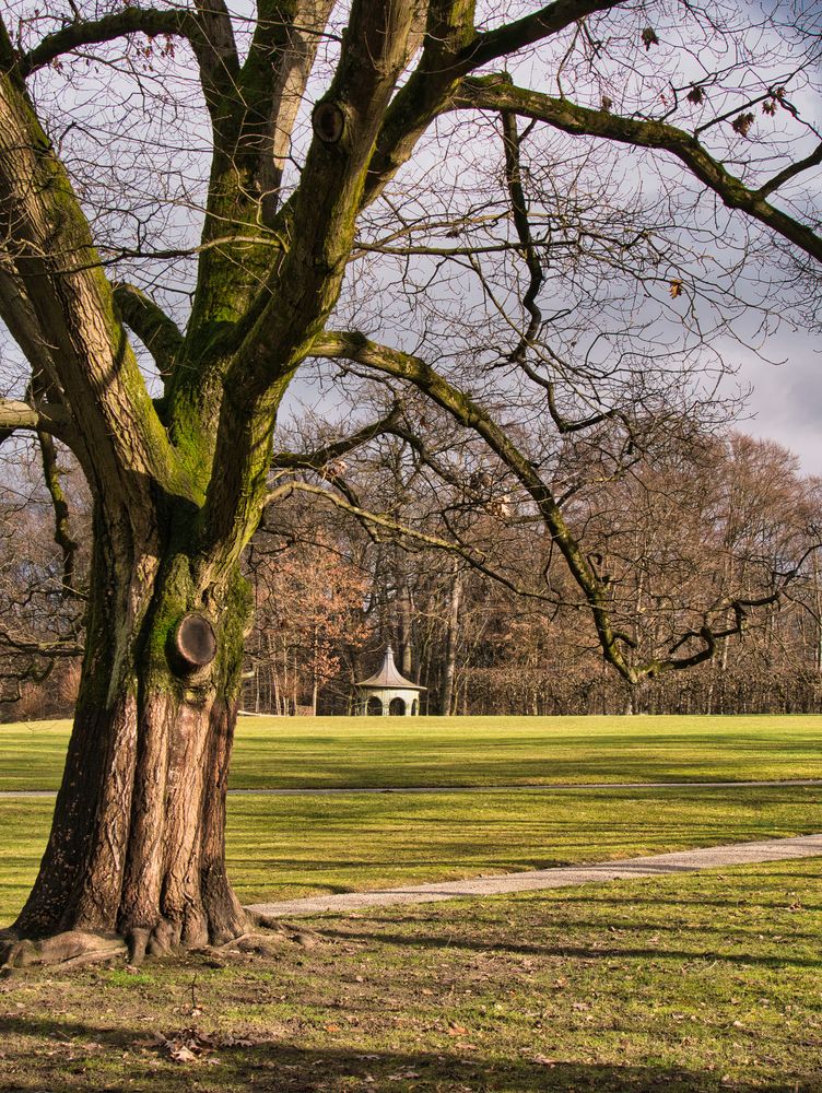 Baum mit Pavillon, Eremitage Bayreuth