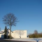 Baum mit Schatten