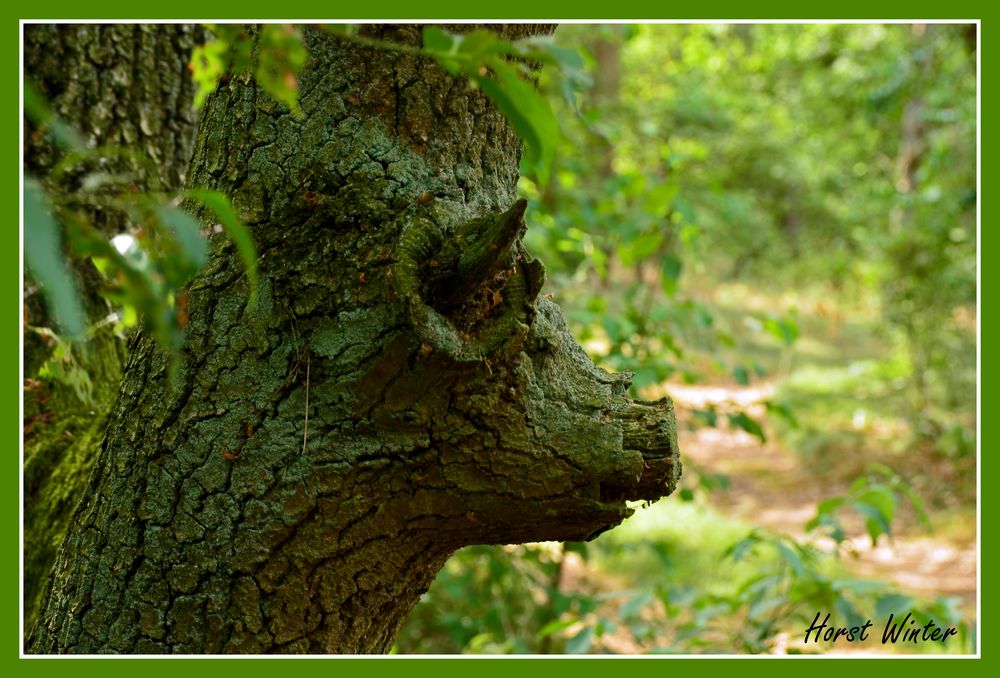 Baum mit Schweinekopf