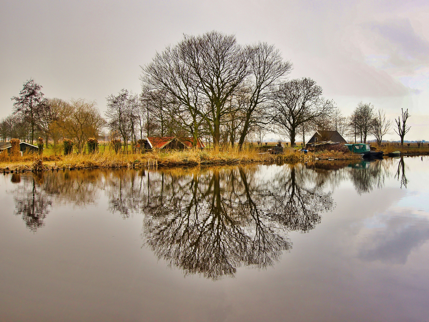 Baum mit Spiegelung