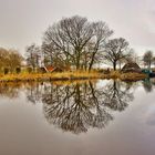 Baum mit Spiegelung