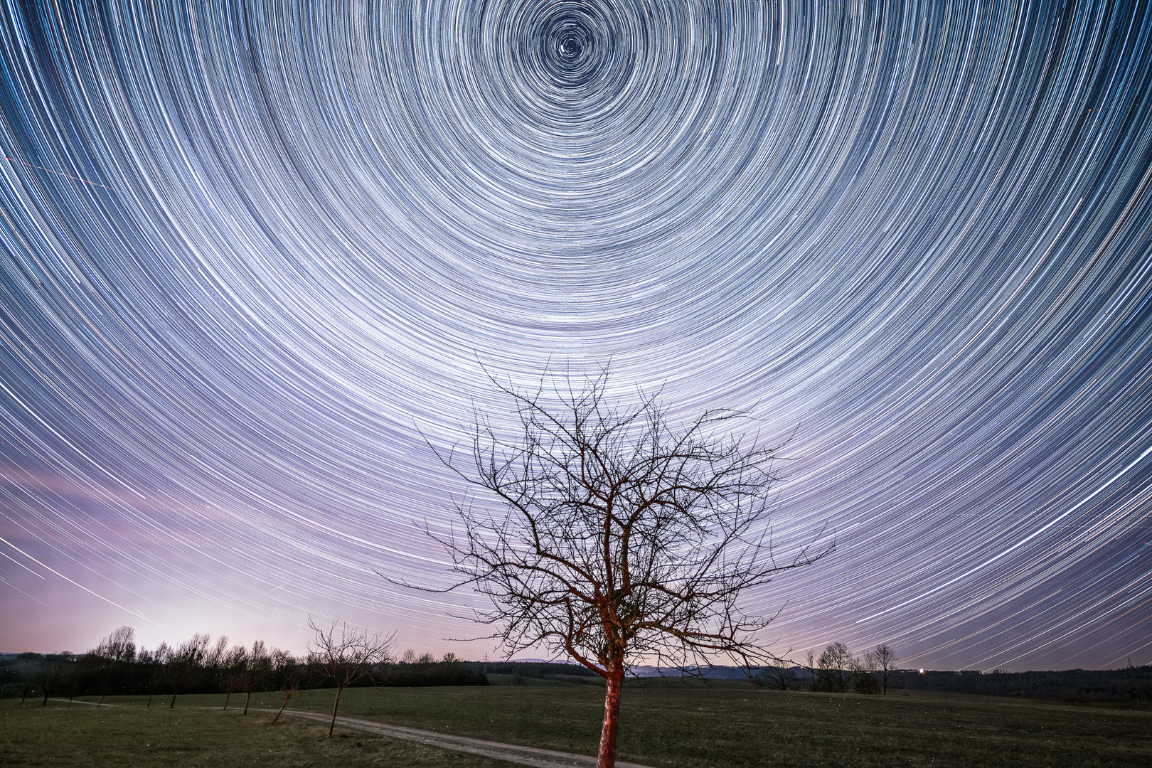 Baum mit Star Trails