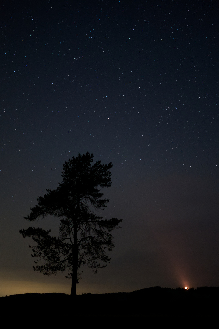 Baum mit sterne