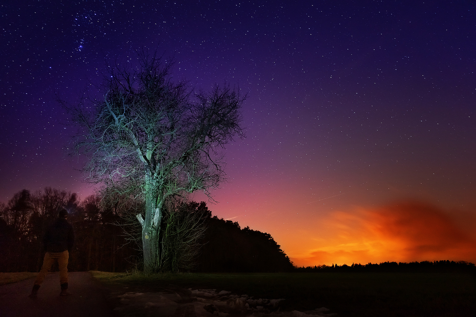 Baum mit Sternenhimmel