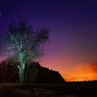 Baum mit Sternenhimmel