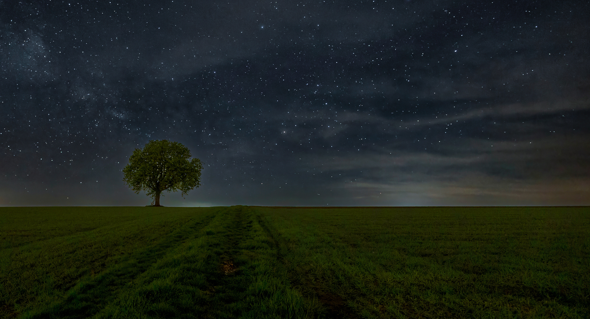 Baum mit Sternenhimmel