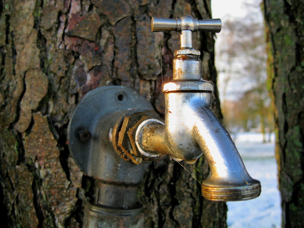 Baum mit Wasserhahn