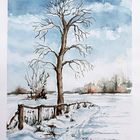 Baum mit Zaun im Winter