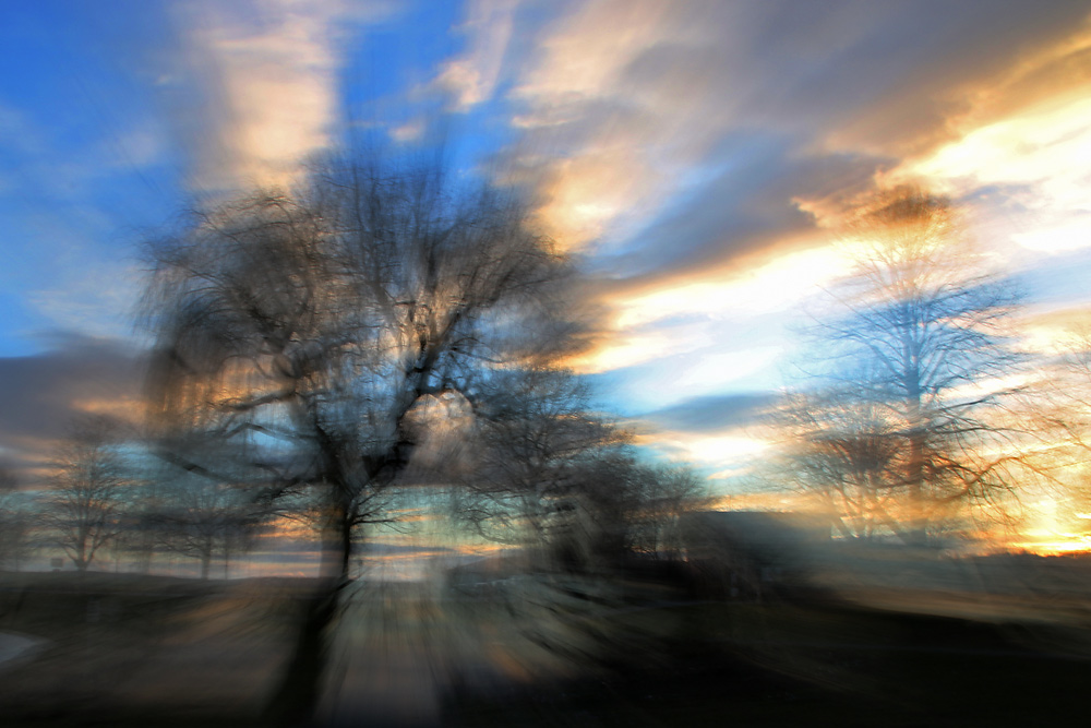 Baum mit Zoomeffekt