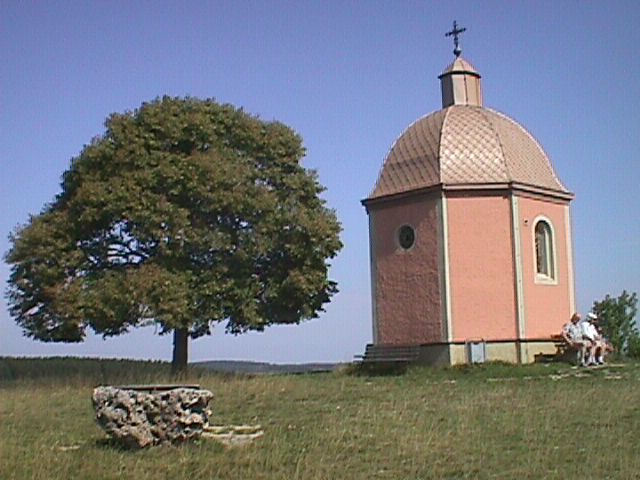 Baum neben Kirche