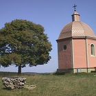 Baum neben Kirche