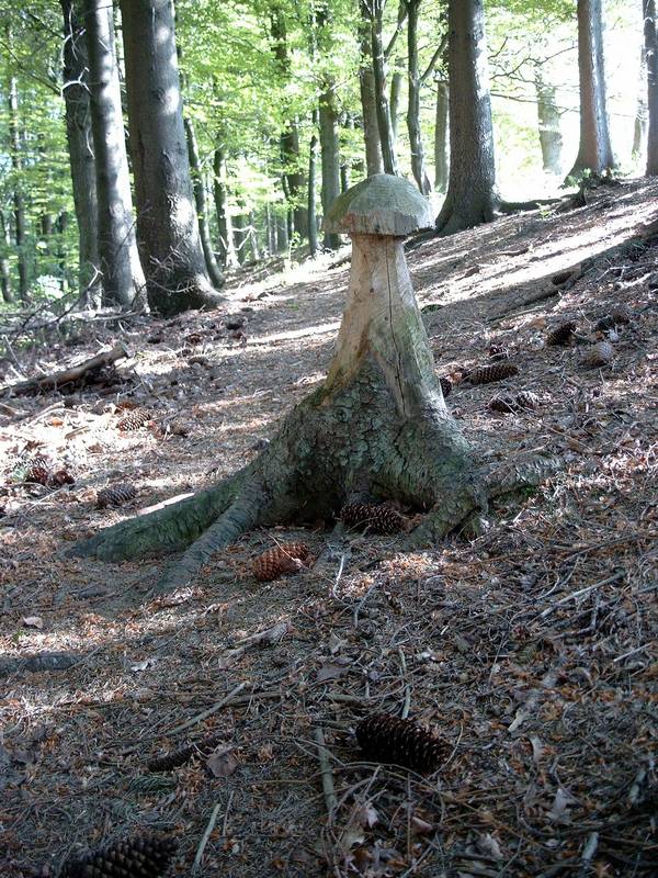 Baum oder Pilz?