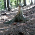 Baum oder Pilz?