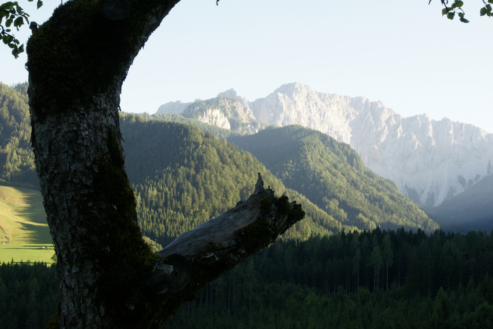 Baum rahmt Gebirge 2