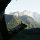 Baum rahmt Gebirge 2