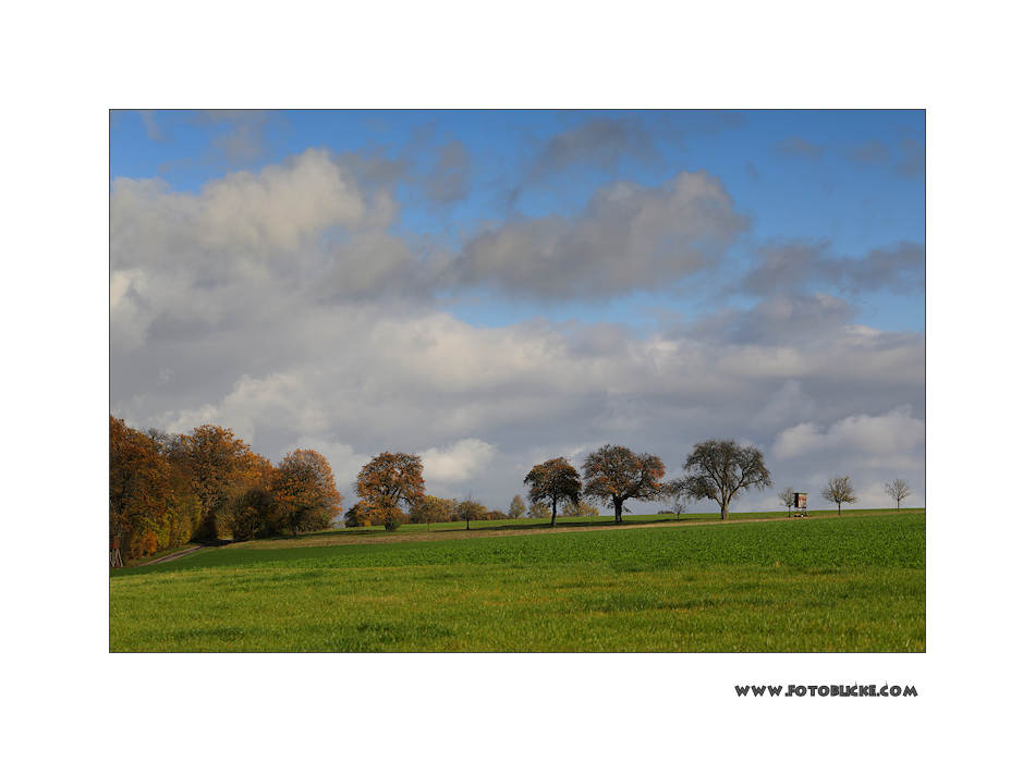 Baum Reihe