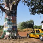 Baum Reise Ziele Gambia -21-763-col /Foto v_Ingst +8Fotos