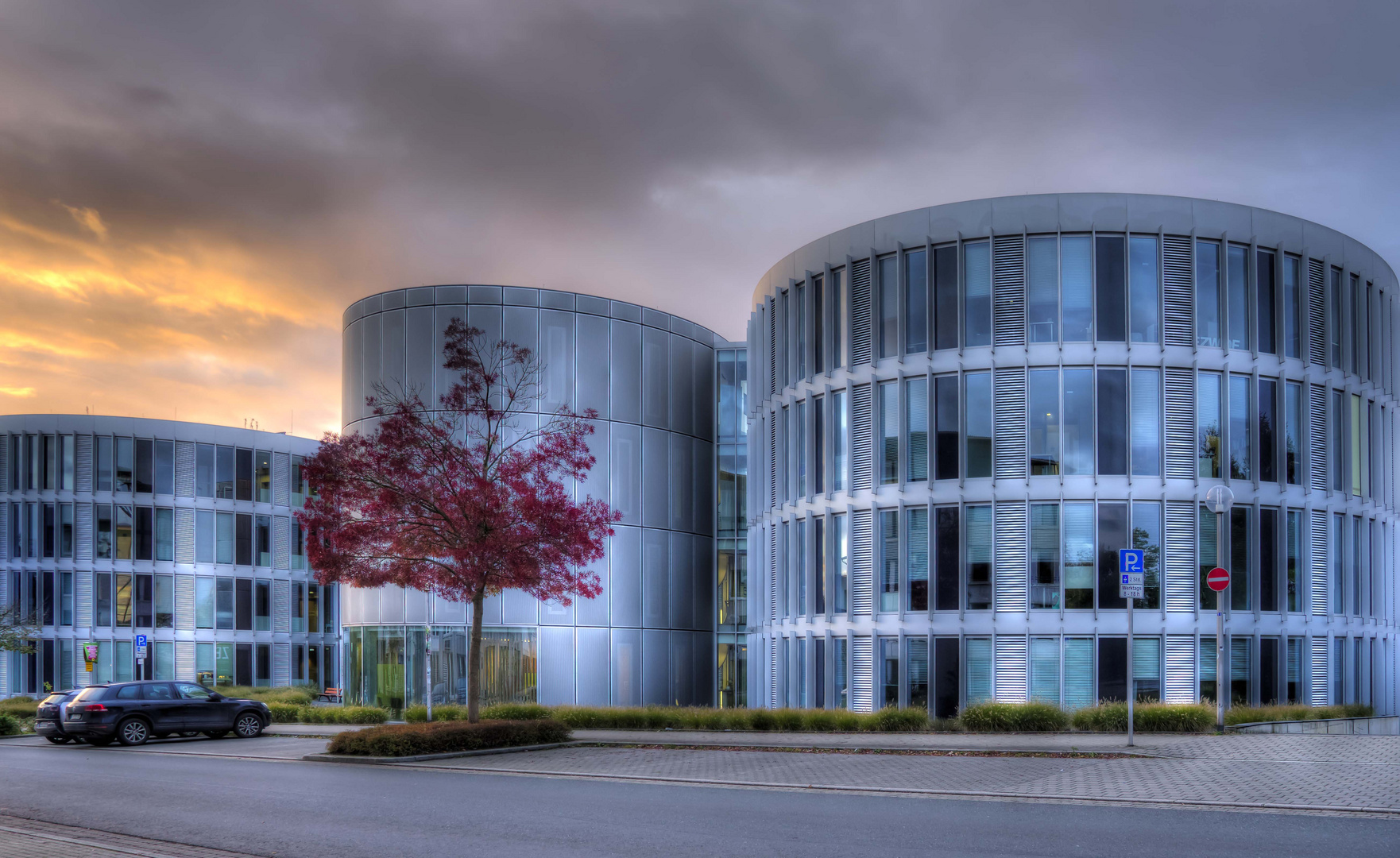 Baum rot vor ZBZ